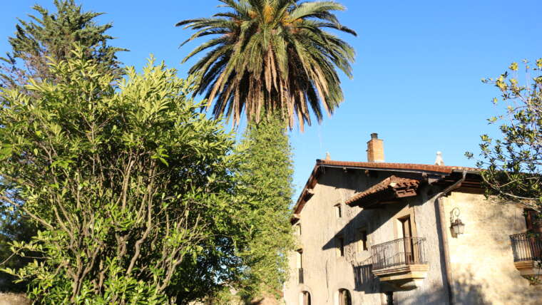 Casa rural en Cantabria Fachada de piedra de La Casona de Cabanzón con jardín y palmera en Cantabria