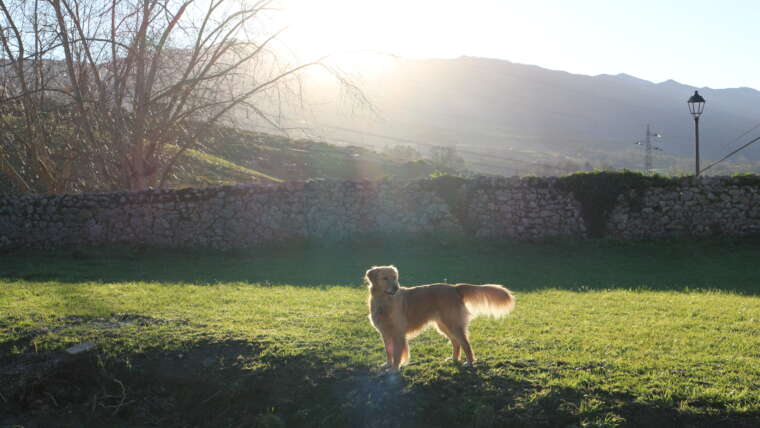 Jardín privado pet friendly en La Casona de Cabanzón en Cantabria